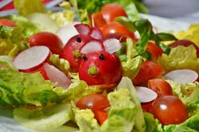 salade tomaat